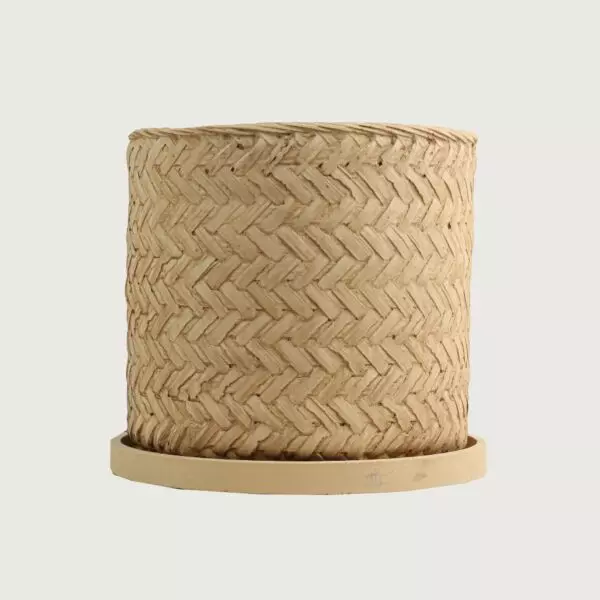 baytonia_gallery_image