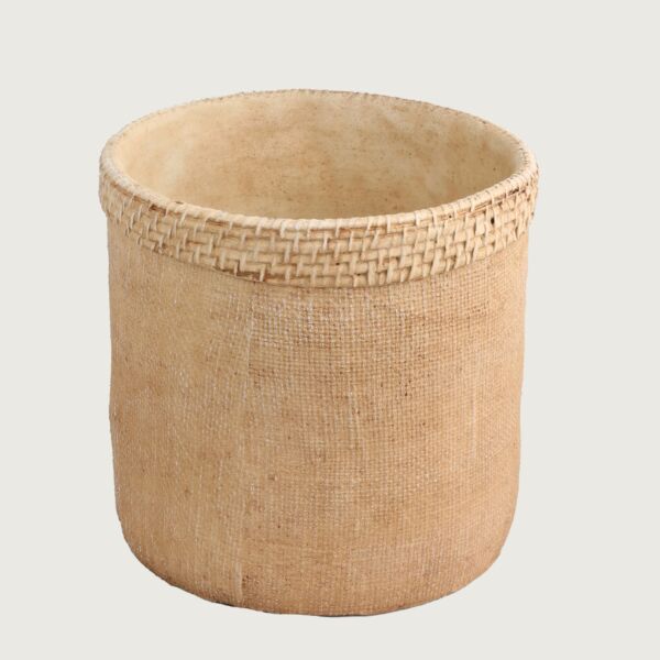 baytonia_main product photo