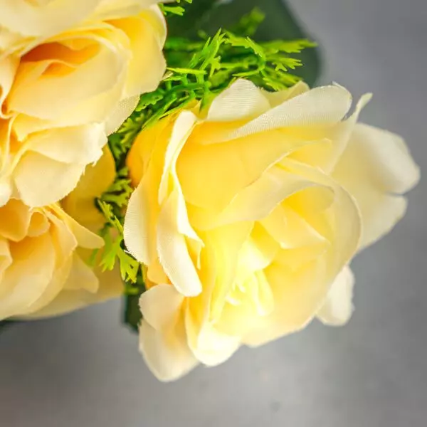 baytonia_gallery_image