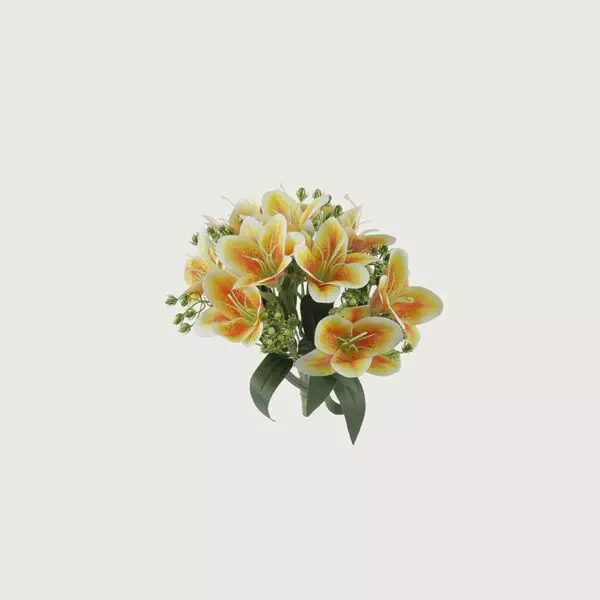 baytonia_gallery_image