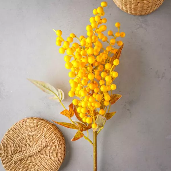 baytonia_gallery_image