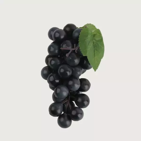 baytonia_gallery_image