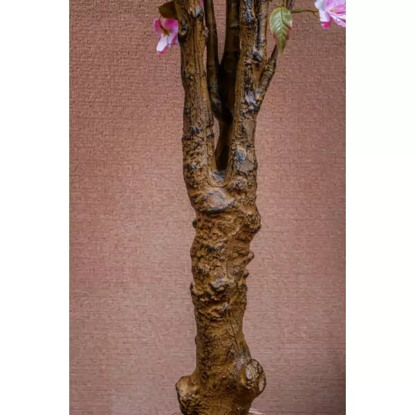 baytonia_gallery_image