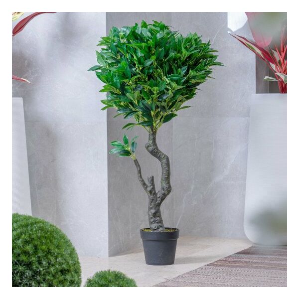 baytonia_main product photo