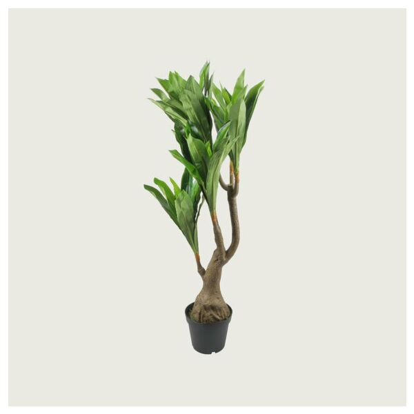 baytonia_main product photo