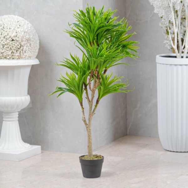 baytonia_main product photo