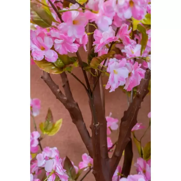 baytonia_gallery_image