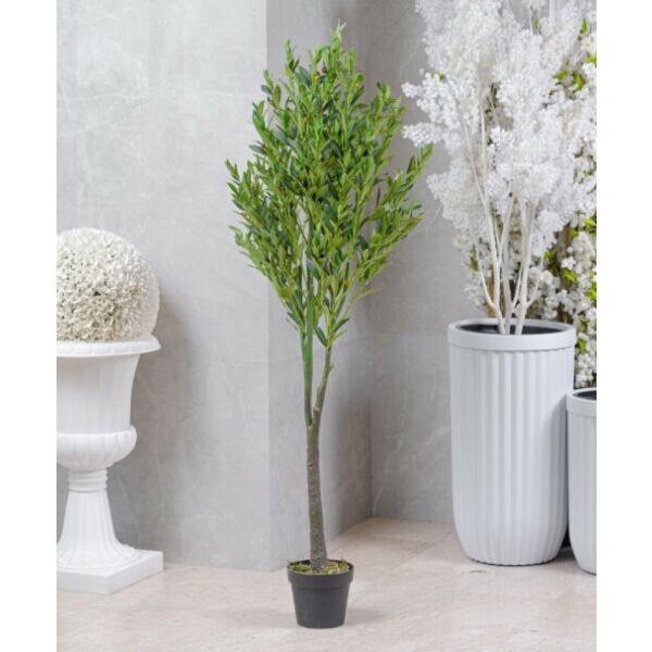 baytonia_main product photo