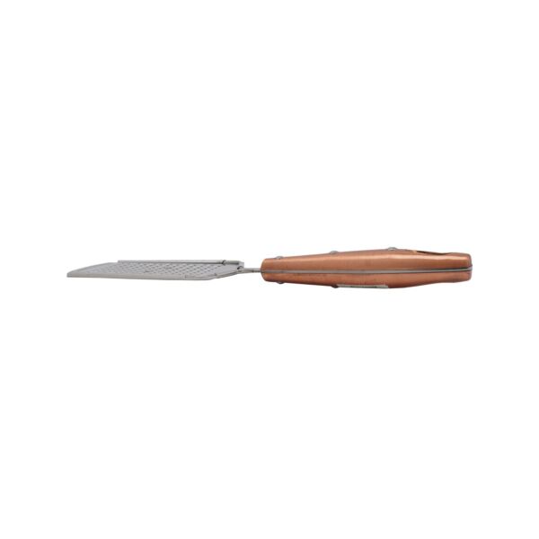 baytonia_main product photo