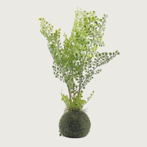 نبات صناعي كزبرة بكرة-اخضر     