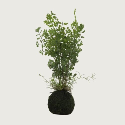 نبات صناعي بقدونس بكرة-اخضر         