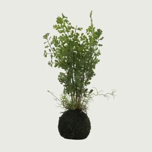 نبات صناعي بقدونس بكرة-اخضر         