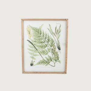 لوحة نباتات ببرواز خشبي مونكلر