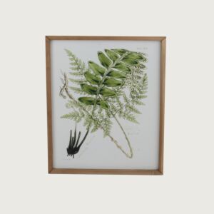 لوحة نباتات ببرواز خشبي كارن