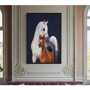Horse Wall Art - Canvas
