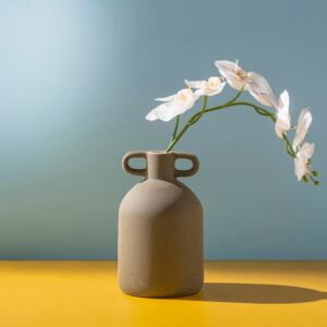 مزهرية حجم صغير أيكيرا