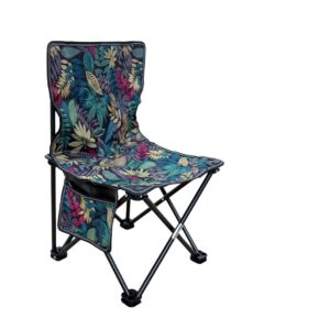 كرسي تخييم ليف باترن - الوان متعددة