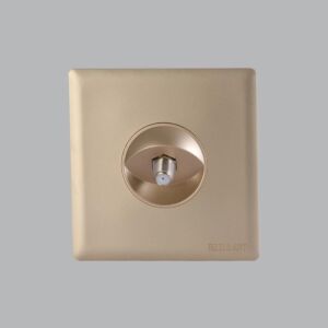 فيش دش ذهبي برلنت لايت