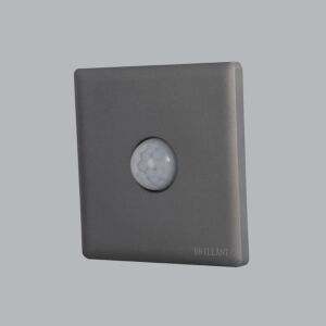 مفتاح حساس حركة برلنت لايت - رمادي