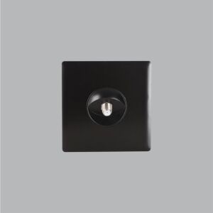 فيش دش برلنت لايت - أسود