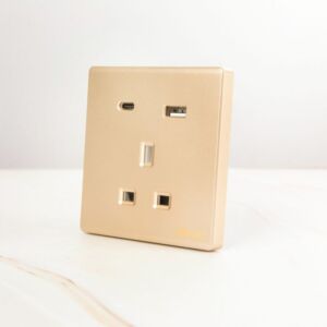 فيش ثنائي المنفذ USB مودرن من برلنت - ذهبي