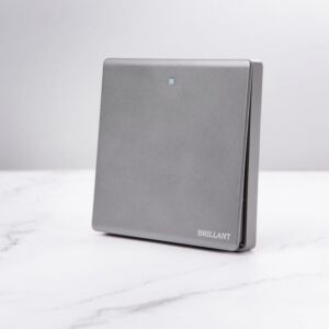 مفتاح مفرد مودرن من برلنت - رمادي