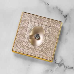 فيش دش من برلنت - ذهبي