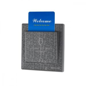 مفتاح كارت رمادي برلنت