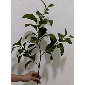 زهر صناعي غصن ماجنوليا - اخضر