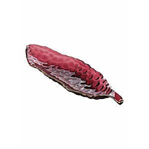 طبق على شكل بازيلاء - أحمر