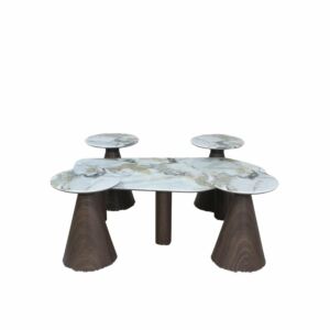 طقم طاولة قهوة وطاولات جانبية 5 قطع بيسال - ابيض وخشبي غامق