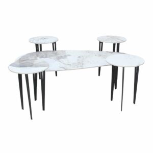 طقم طاولة قهوة و طاولات جانبية 5 قطع سيرا - ابيض واسود