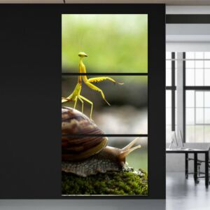 لوحة فنية بتصميم الطبيعة ثلاث قطع- حلزون وفرس النبي