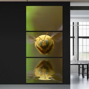 لوحة فنية بتصميم الطبيعة ثلاث قطع- نحلة