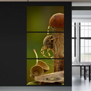 لوحة فنية ثلاث قطع بتصميم الطبيعة - عنكبوت