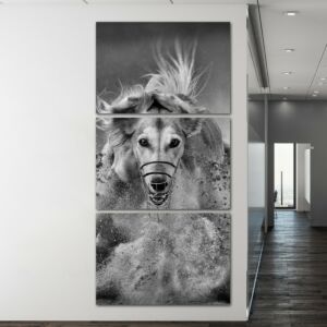 لوحة فنية أناسيزا ثلاث قطع بتصميم حيوانات