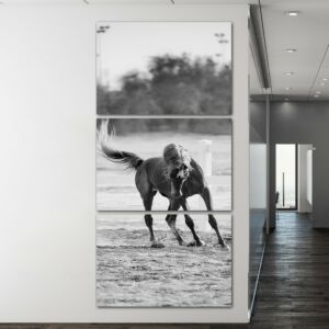 لوحة فنية انورين ثلاث قطع بتصميم الطبيعة - حصان