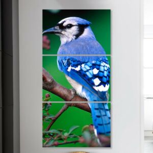 لوحة فنية ثلاث قطع - عصفور