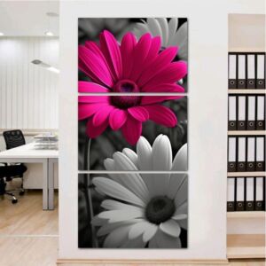 طقم لوحات 120x60 سم اوربيتال