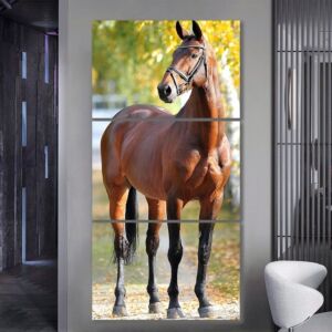 طقم لوحات 120x60 سم ستارفلو