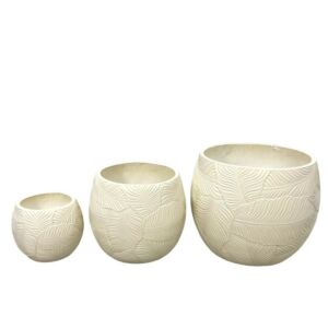 طقم مركن زرع 3 قطع سايا - بيج