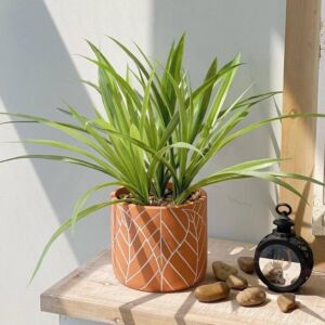 مركن زرع صناعي فخار توتاي