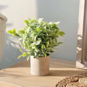 مركن زرع صناعي فخار بوركا