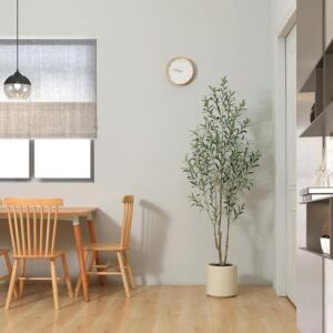 شجرة زيتون مميزة 180 سم