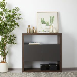 كونسول وينشستر