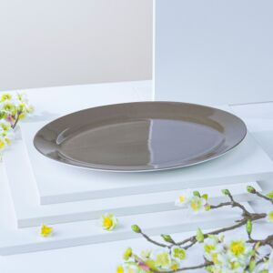 طبق تقديم رايون