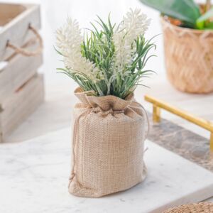 نبات صناعي موزو - متعدد الألوان