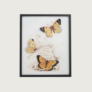 لوحة فراشات برواز خشبي مربع 