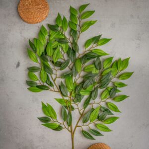 فروع صناعية بيزل - 12 قطعة