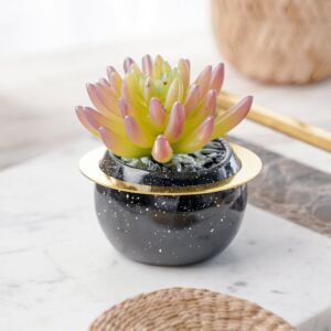 نبات صناعي شايا - متعدد الألوان - 12 قطعة